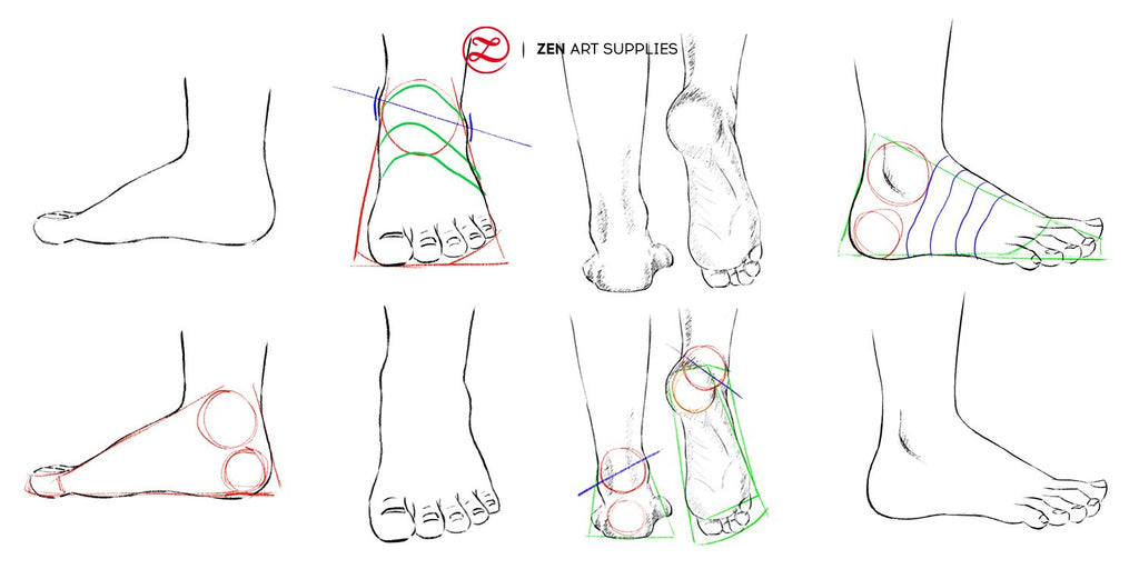foot reference
